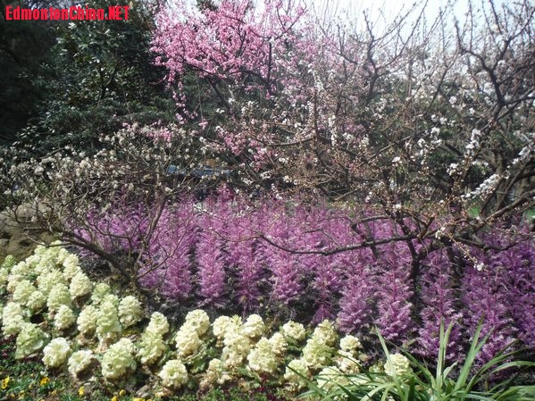 DSCF3182.JPG