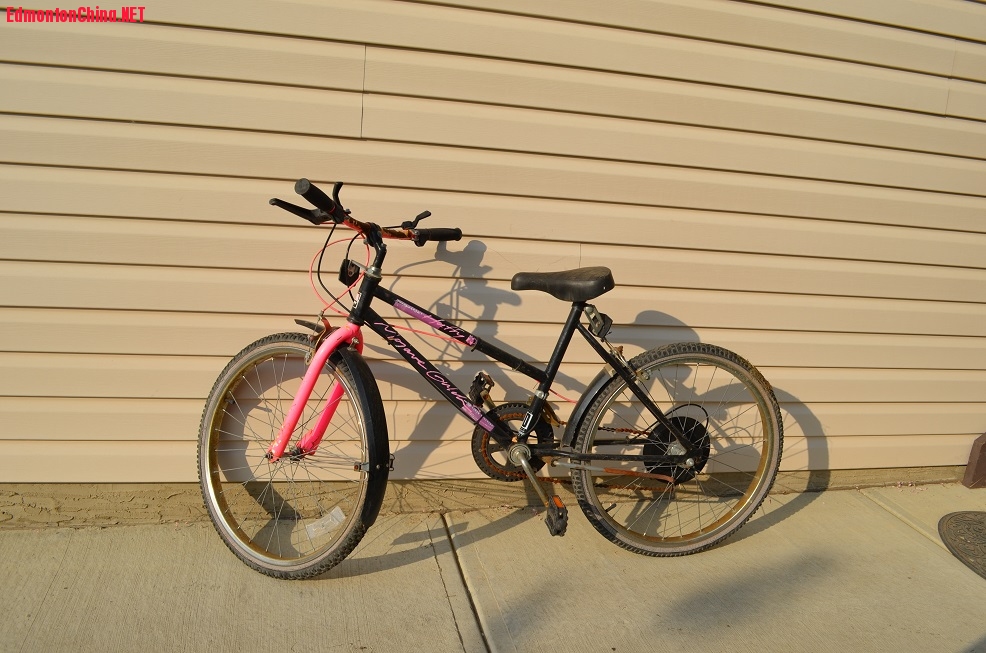 bicycle 005.JPG