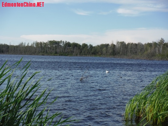 DSCF0207.JPG