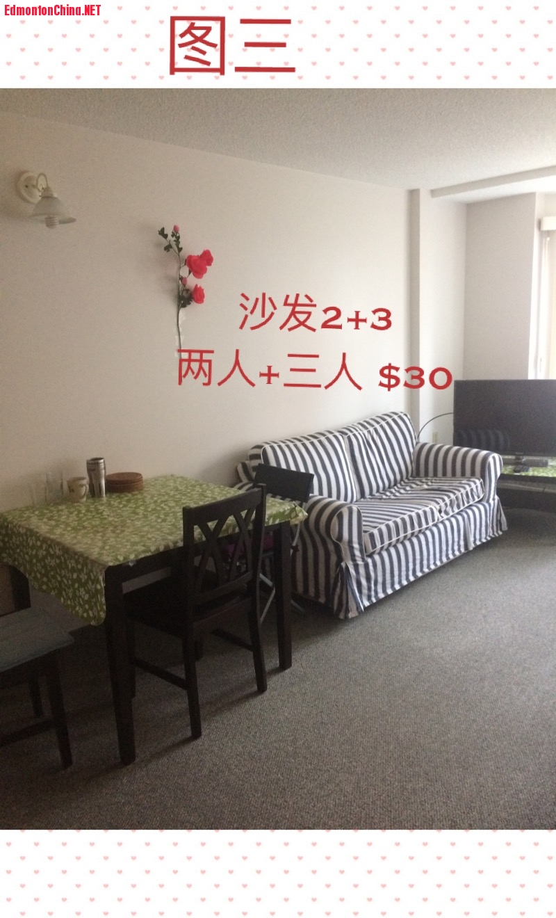 image3.JPG