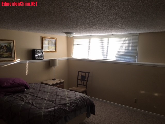 pic5.jpg