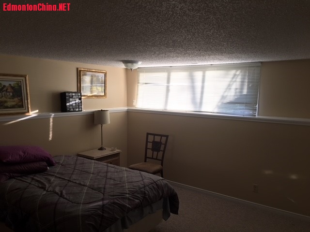pic6.jpg