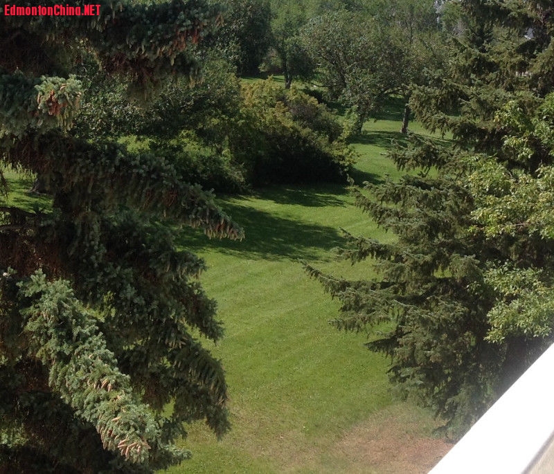 overlook green space from balcony