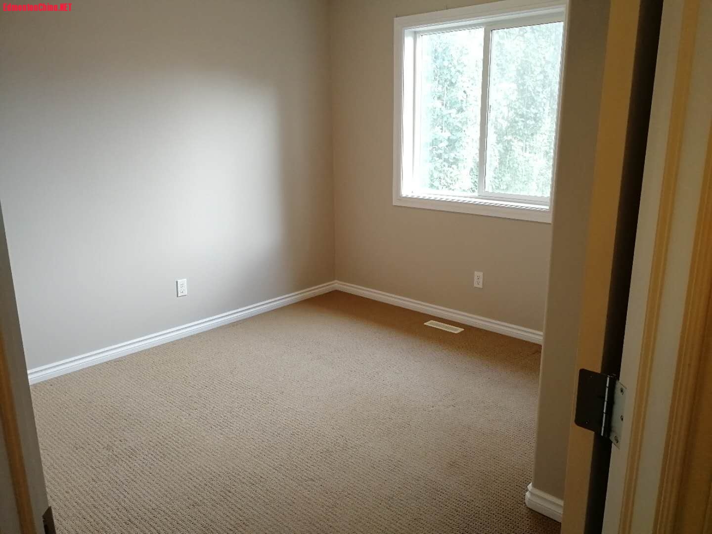 M room 2.jpg