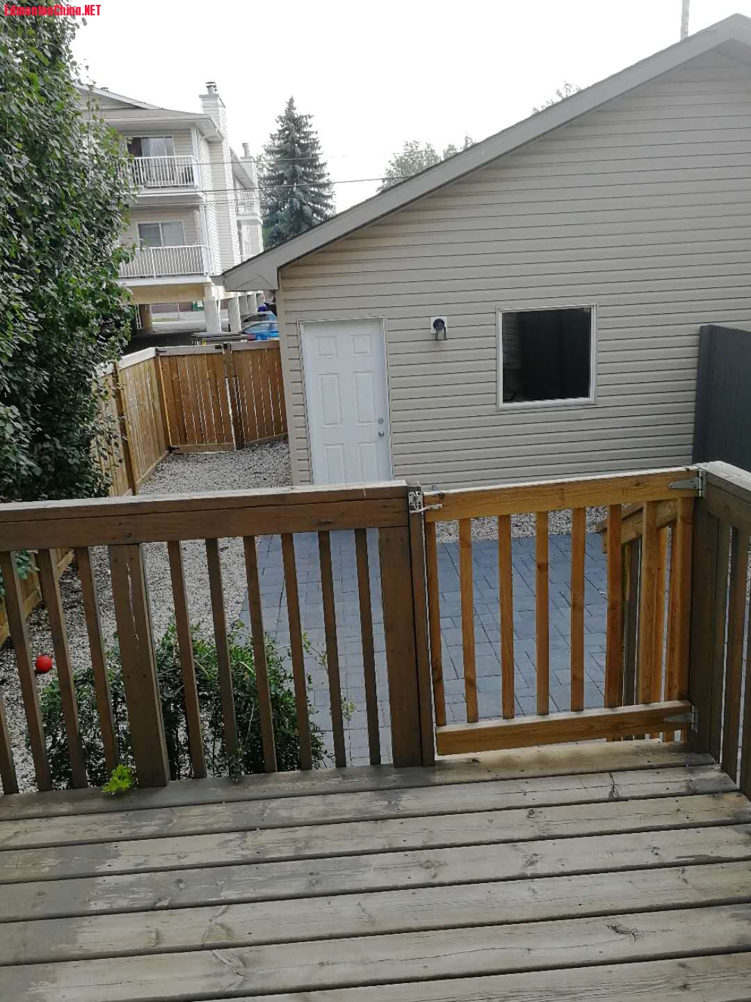 backyard.jpg