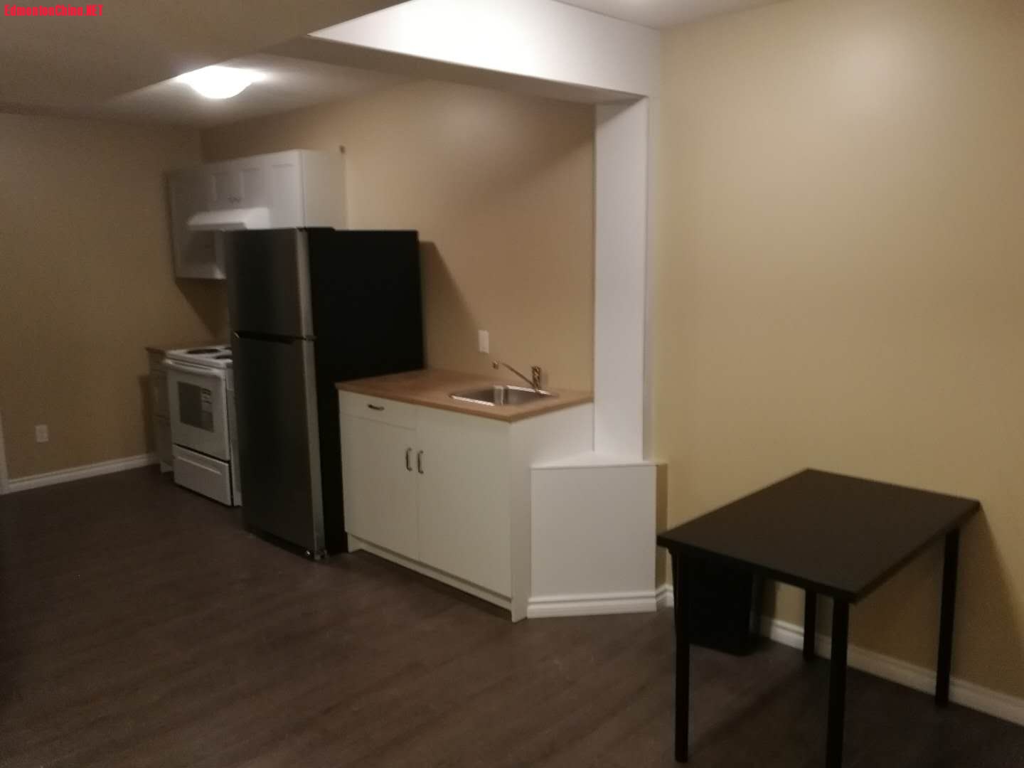 Basement Kitchen.jpg