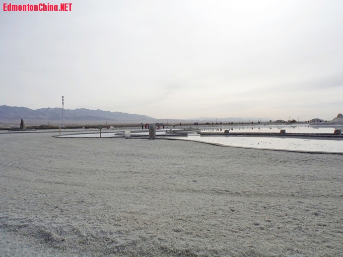 DSCF5613.JPG