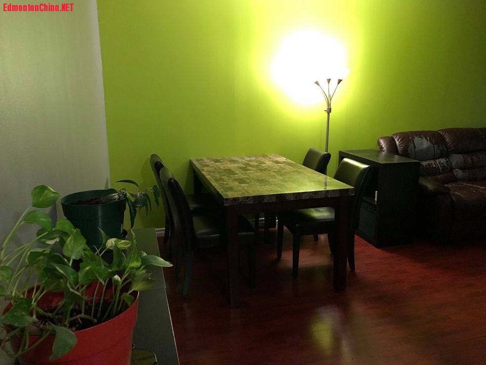 dining2.jpg