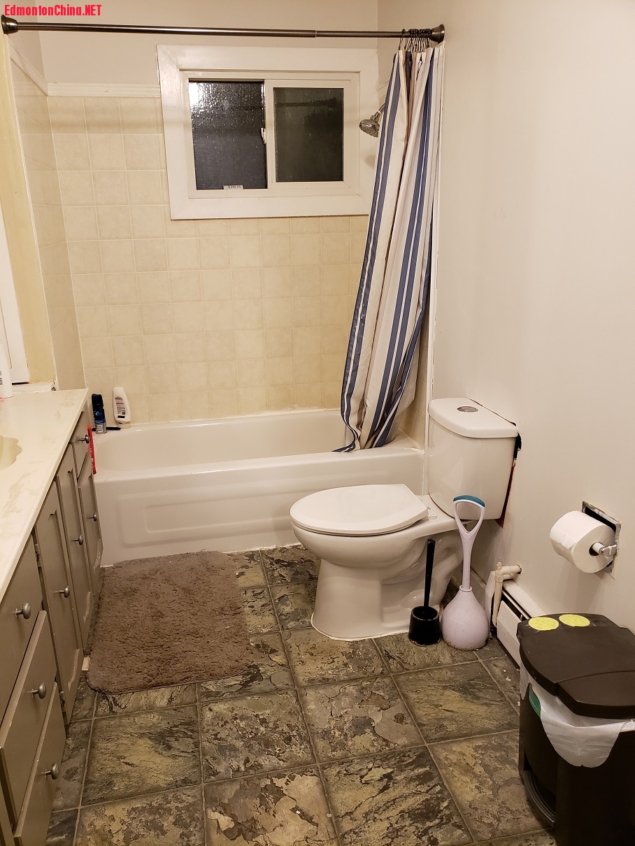 toilet.jpg