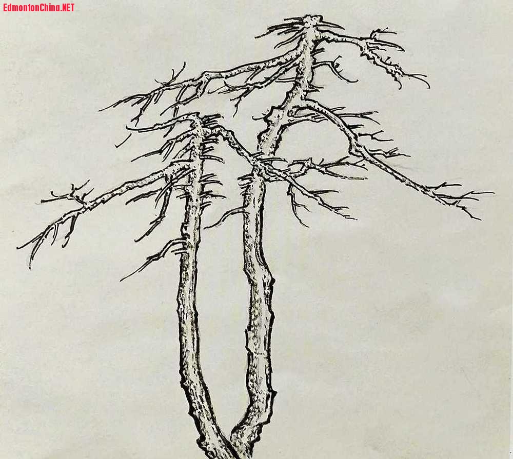 �δ������ġ��紺ͼ�������ֲ�ͼ