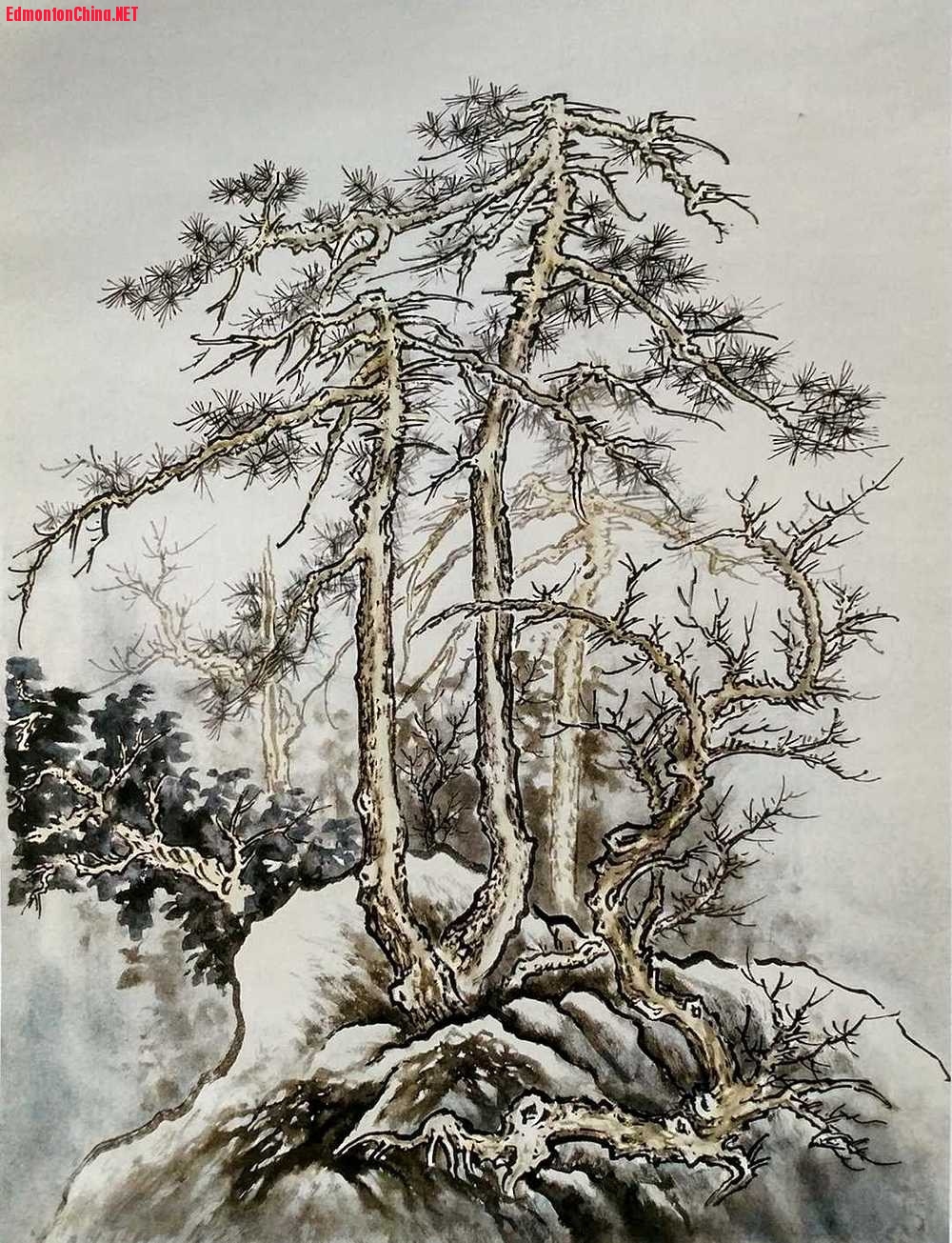 �δ������ġ��紺ͼ�������ֲ�ͼ