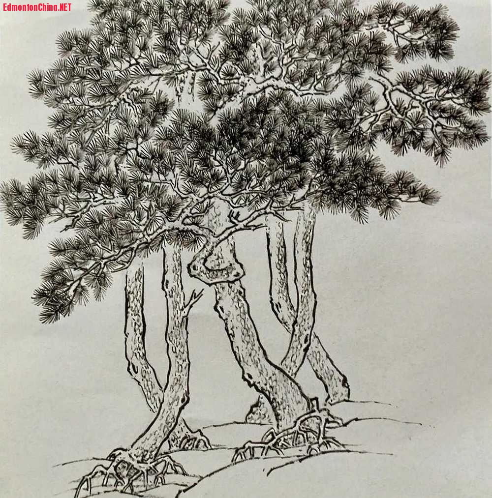 �δ��������Ƶġ������ɷ�ͼ�������ֲ�ͼ