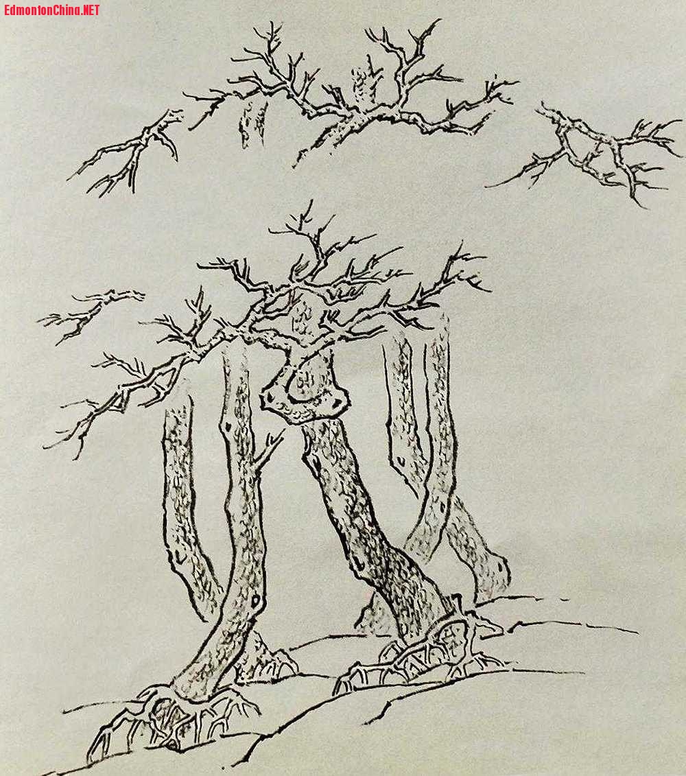 �δ��������Ƶġ������ɷ�ͼ�������ֲ�ͼ