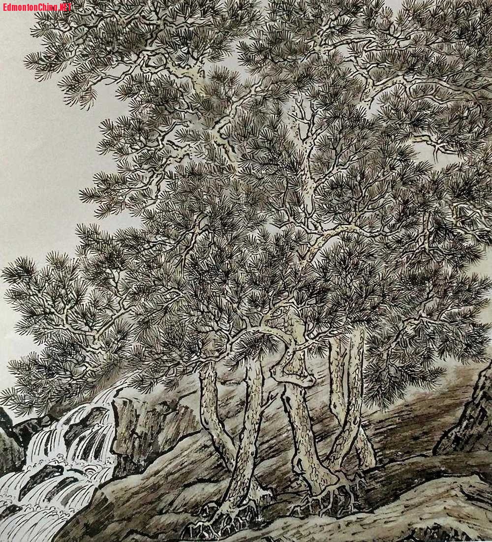 �δ��������Ƶġ������ɷ�ͼ�������ֲ�ͼ