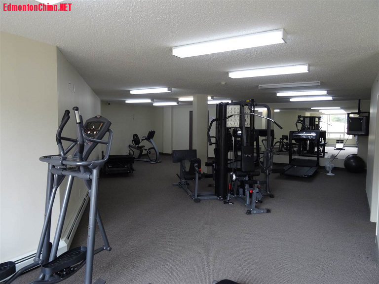 Gym 1.png