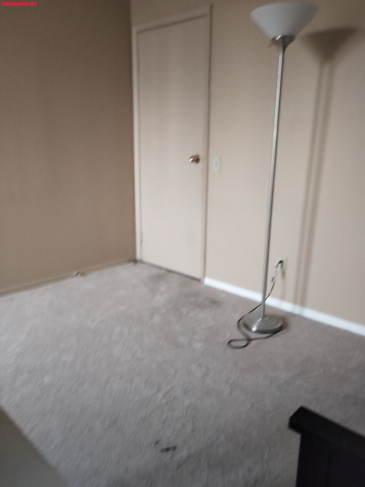 83D9D96AECDB2BFE2734F21AA81D3F17.jpg