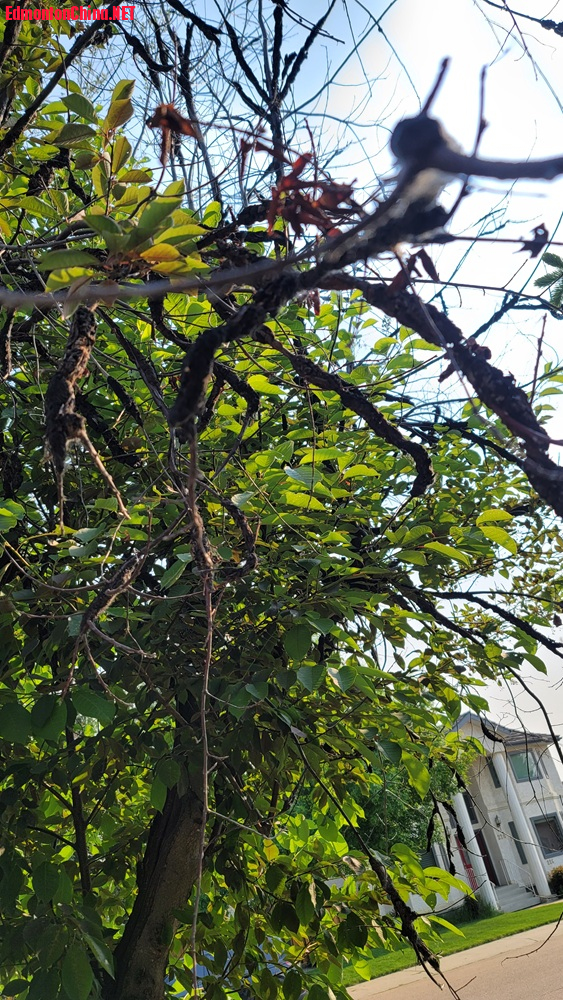 20250604_091459.jpg