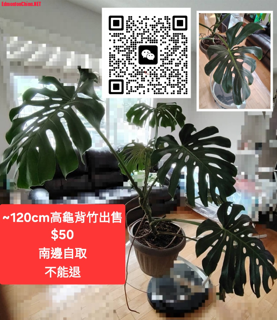 1000035191.jpg
