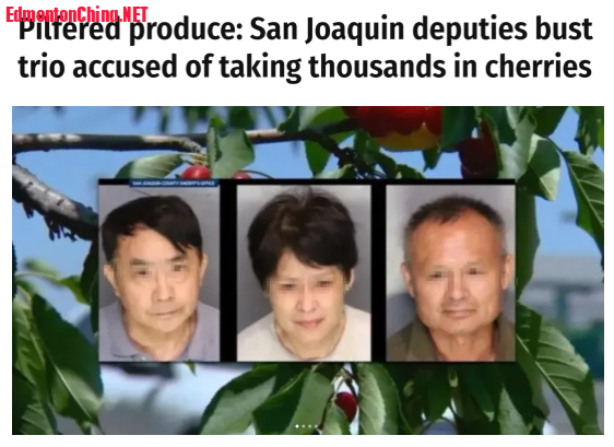 1749505805104.png