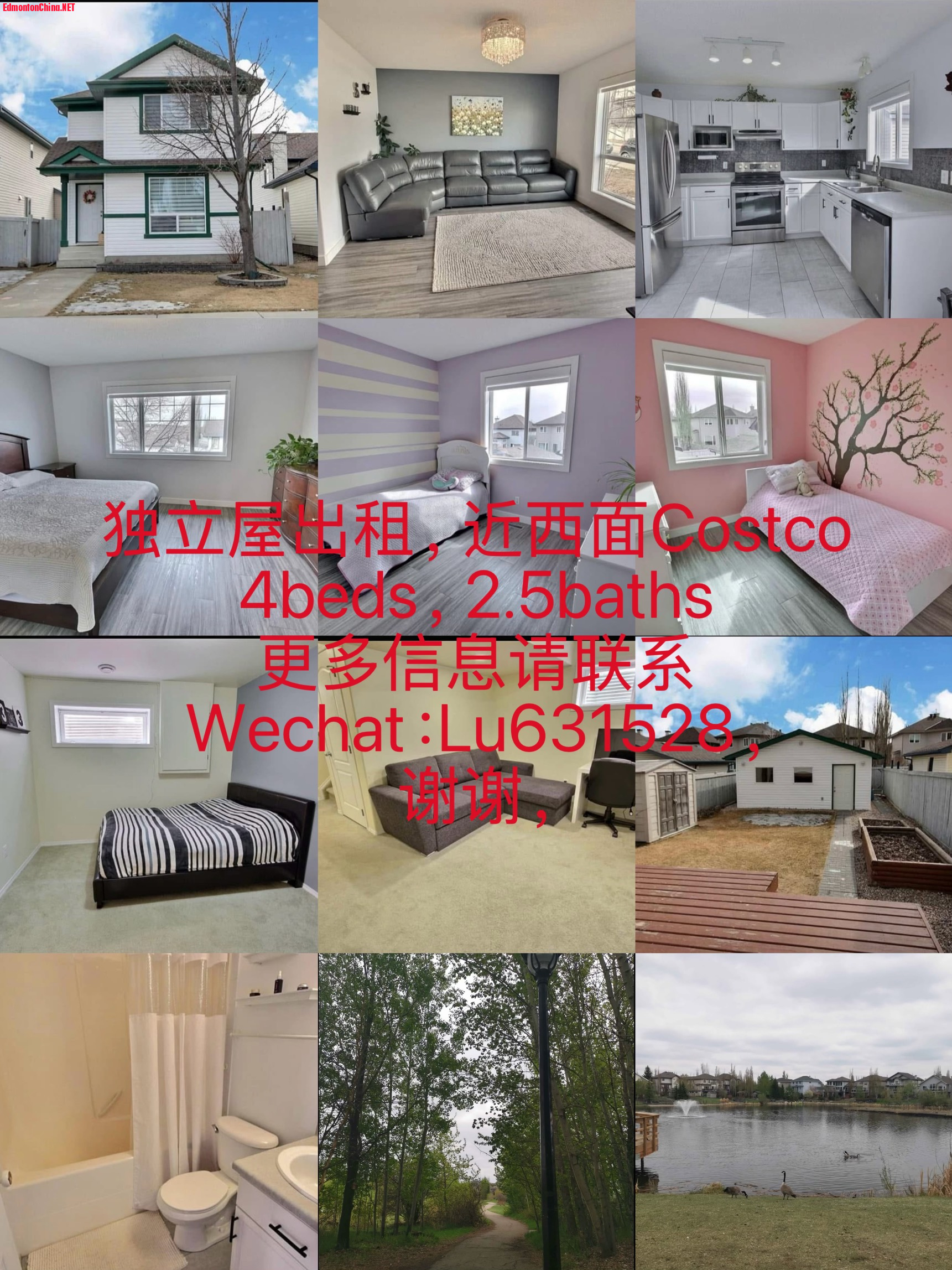 image Ĺ Сsize.jpeg