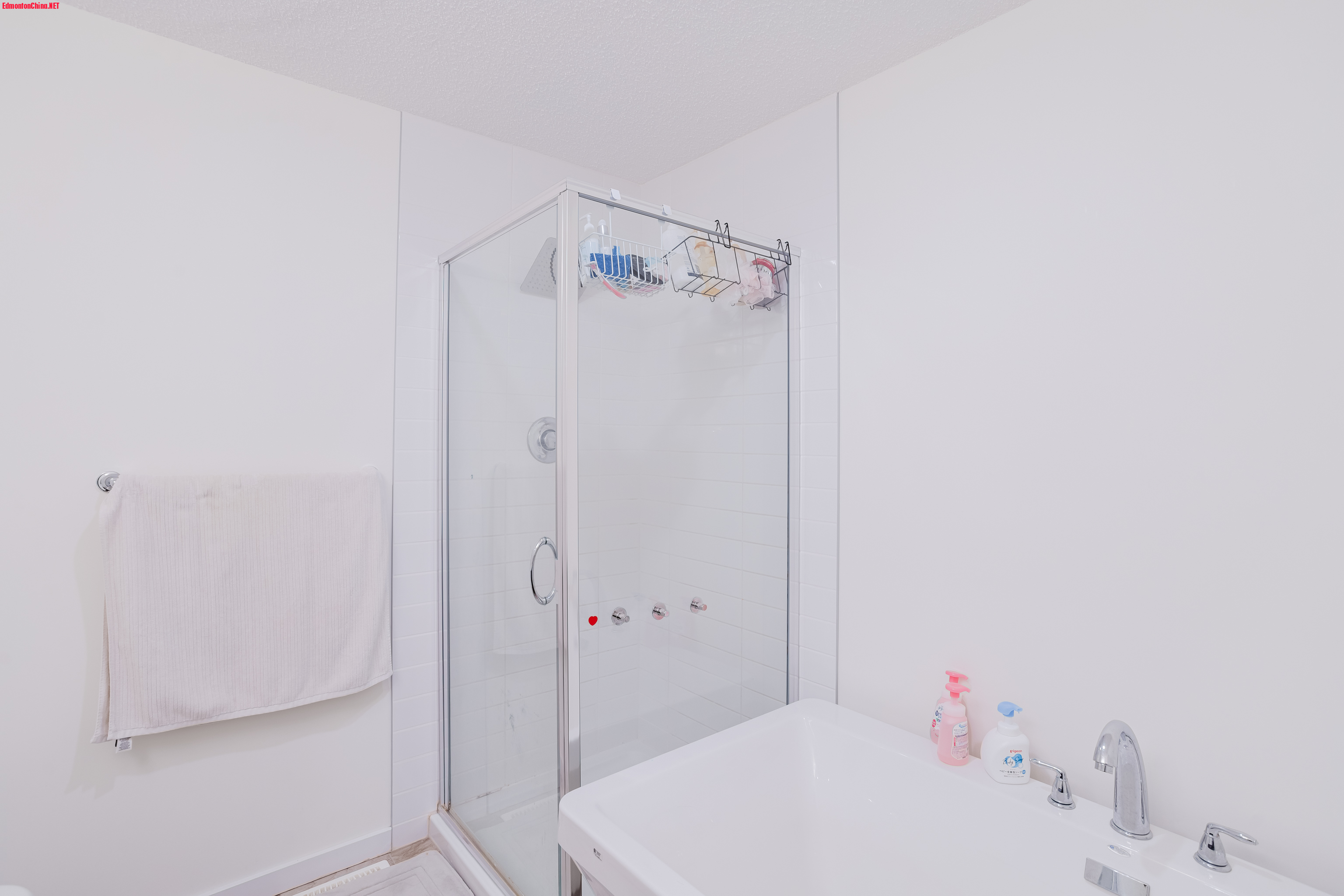 2124 Glenridding Way (30).jpg