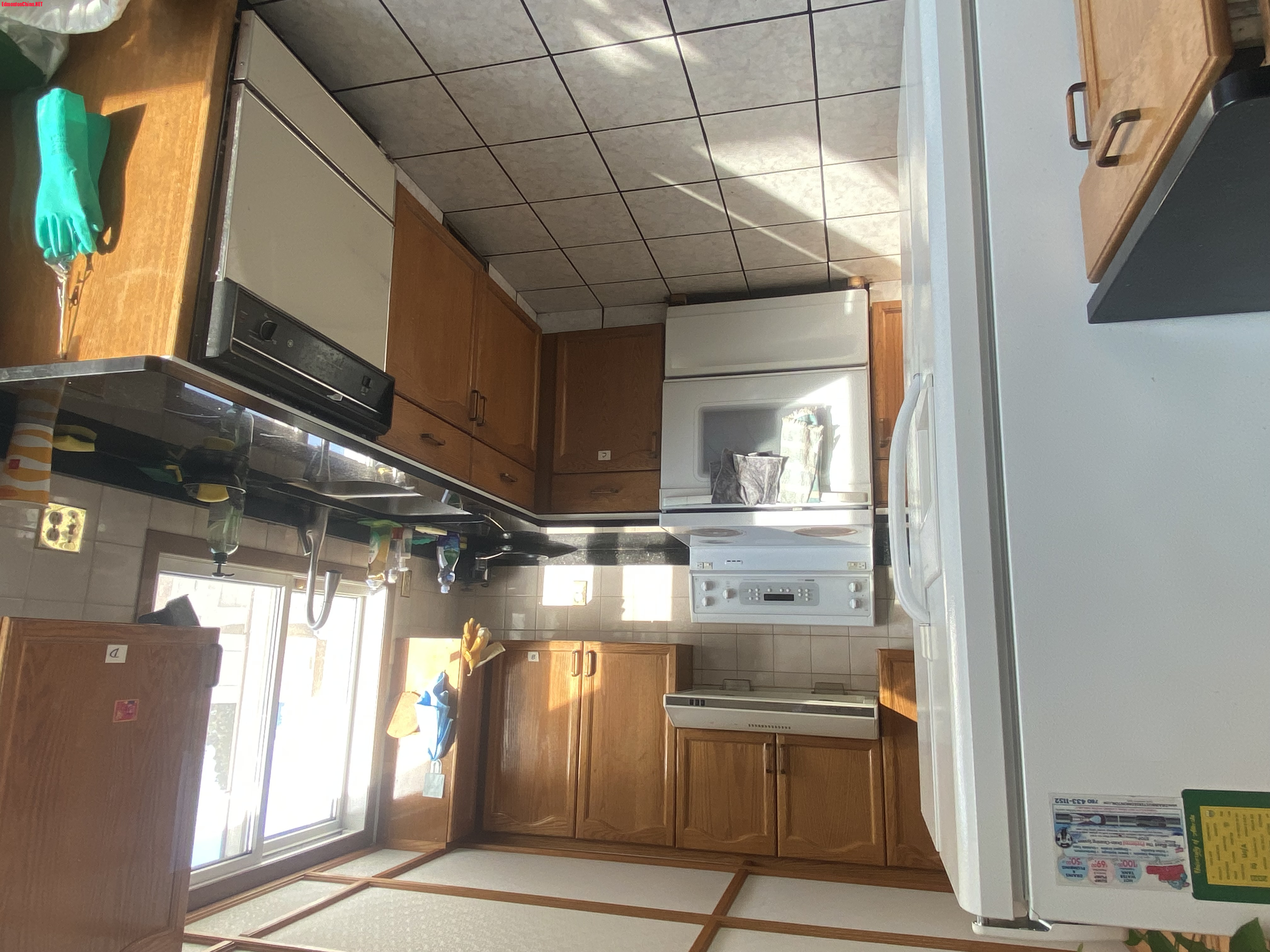 ���ÿ����ͳ���