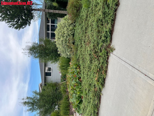02 Front Yard.jpg